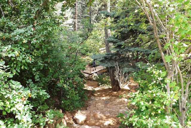 Cheyenne Mountain State Park is located in Colorado Springs. As you may have noticed, Americans are called " park " any place designated for recreation. And this, like the park, located on one of the local mountains. Gore is refined, over 20 km for walking and cycling. For lovers of extreme sports there is a territory with a sign warning of the dangerous area.   Exceptionally clean air and uphill is not only the " intoxicating " but it makes breathing more often. The higher you climb, the harder it is to breathe faster and get tired  That much important for the whole area of the park are benches for rest and even a toilet.    At the entrance to the park hanging map, and anyone can point out where he came from. I was very surprised that in Russia were designated only Moscow and St. Petersburg. Although only lives in Colorado Springs, a lot of Russian ... Ah, Russian, boasting that generous, and spared themselves the dollar on push pin. It's a shame I felt. I wanted to also specify Togliatti on the map. John pointed his hometown.     In a local shop to buy souvenirs and even 24-karat gold for $ 8. Or try to find their own semi-precious stones and gold. It's enough to buy a bottle for $ 2, and imagine that we prospectors for gold mining source .  Gold of course we do not deposit but the interesting stones have collected.  Conversely, we came back here after such tunnels in the mountains. The tunnels are very narrow. Through them can pass only one car. Therefore, when entering a tunnel, ensure that the meeting does not go car.  Cheyenne Mountain State Park расположен в г. Колорадо Спринг.  Как вы уже заметили, Американцы  называют «парком» любое место, предназначенное для отдыха.  И этот, типа парк, расположен на одной из местных гор. Гора облагорожена, на протяжении 20 км для прогулок пешком и на велосипеде. Для любителей экстрима есть территория с предупредительной табличкой об опасном участке.    Необыкновенно чистый воздух и подъём в гору не только «опьяняет» но и заставляет дышать чаще. Чем выше поднимаешься- тем тяжелее дышать и быстрее устаешь    Что немало важно на всей территория парка стоят скамейки для отдыха и даже есть туалет.    У входа в парк висят карты, и каждый желающий может указать, откуда он приехал. Меня сильно удивило, что из России были обозначены только Москва и Санкт-Петербург. Хотя только в  Колорадо Спрингс живет очень много русских…  Эх, русские, хвастаетесь, что щедрые, а сами пожалели доллар на булавочку. Обидно мне стало. Захотелось тоже указать город Тольятти на карте. Джон указал свой родной город.     В местном магазинчике можно купить сувениры  и даже золота 24 карата за 8 долларов. Или попытаться самим найти полудрагоценные камни и золото. Для этого достаточно купить бутылочку за 2 доллара и представить что мы старатели на золото добывающем источнике.   Золота мы, конечно не намыли. Но красивые камушки насобирали.   Обратно мы возвращались через вот такие туннели в горах. Туннели очень узкие. Через них может проехать только одна машина. Поэтому при въезде в туннель необходимо убедиться, что на встречу не едет машина.