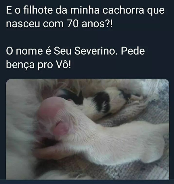 Memes engraçados 