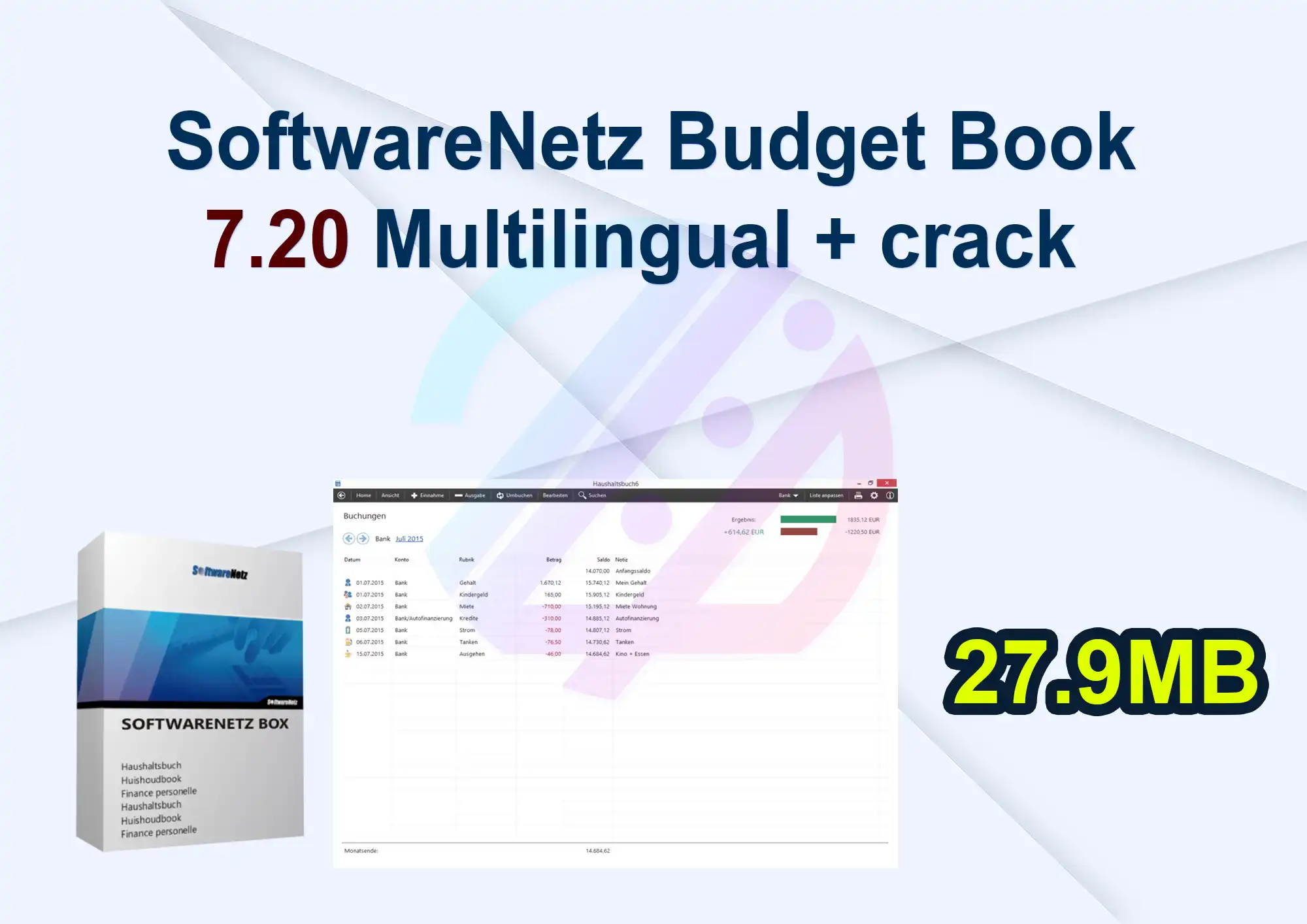 SoftwareNetz Budget Book 7.20 Multilingual + crack