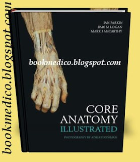 Core-Anatomy-Illustrated