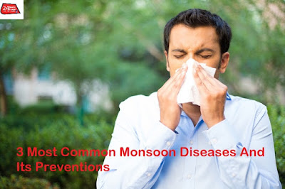 Tags :- Most Common Monsoon Diseases , Most Common Monsoon Diseases their treatment and prevention, monsoon diseases, seasonal diseases in summer, seasonaAl diseases wikipedia, 3 common diseases and their prevention