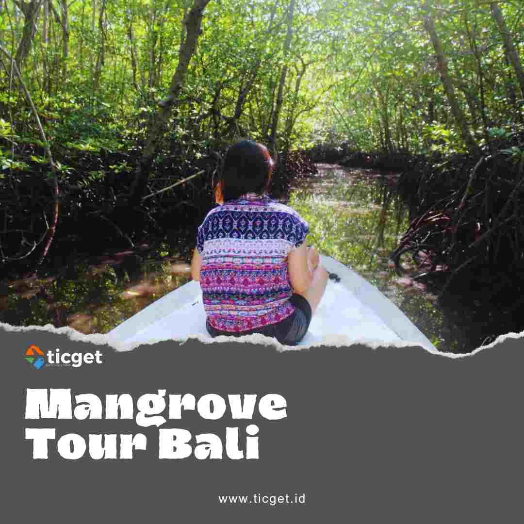 Explore the Hidden Wonders of Bali with our Mangrove Tour Experience! Are you looking for a unique and unforgettable adventure in Bali? Look no further than our Mangrove Tour Experience! Immerse yourself in the natural beauty of Bali as you embark on a journey through the lush mangrove forests that line the island's breathtaking coastlines.