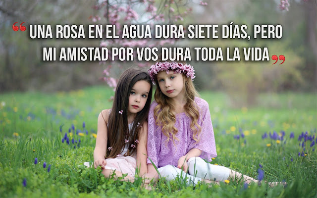 frases amistad 