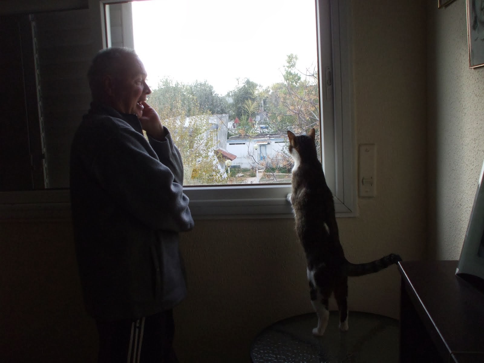 Any Birds?