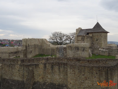 Cetatea Suceava