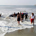 Se unen para regresar al mar a ballena varada en bahía de Salina Cruz