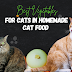 Best Vegetables for Cats in Homemade Cat Food