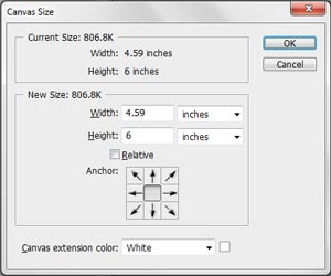 Canvas Size Window