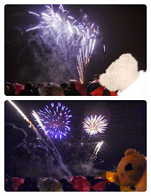 Omnibear at the Fireworks