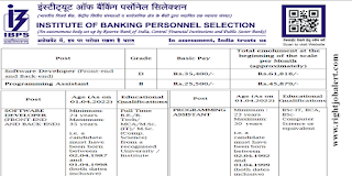 Software Developer/Programming Assistant B.E./B.Tech Jobs in Institute Of Banking Personnel Selection