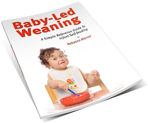 A Simple Reference Guide to Baby-led Weaning (English Edition)