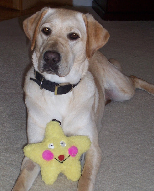 cabana holding a star shaped toy with smiley face on it