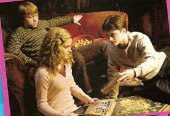 Hermione, Ron, and Harry