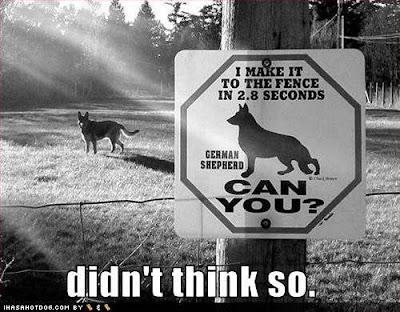 Funny Stuff: Dog Sign