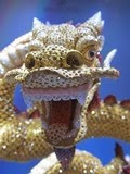 我的相片