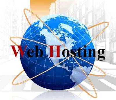 Que es el profesional hosting