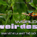 World's Weirdest (2010)