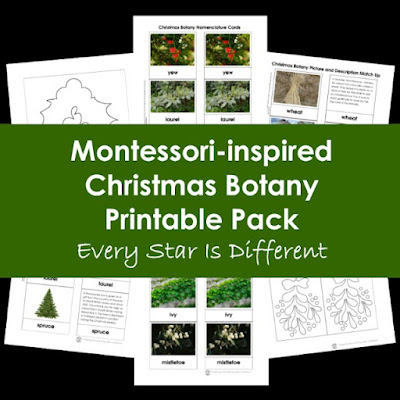 Montessori-inspired Christmas Botany Printable Pack