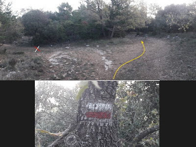 GR-7 ARBOLÍ A MONTRAL, camí a la Plana de la Pona a la Serra de la Mussara