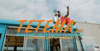 Video:Rayvanny Ft Patoranking,Zlatan & Diamond Platnumz -Tetema Remix|DOWNLOAD 