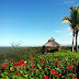 CLUB CAMPESTRE EL MADRIGAL PLACENTERA FORMA DE VIVIR EN LOS CABOS 