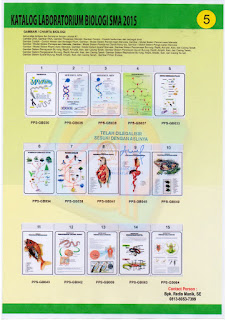  RAB Laboratorium Biologi SMA    , Alat peraga Biologi SMA, PERALATAN BIOLOGI SMA, DAK 2015