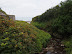 Stream at Mouthmill