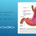 Fisiologia - Secreción Gastrointestinal