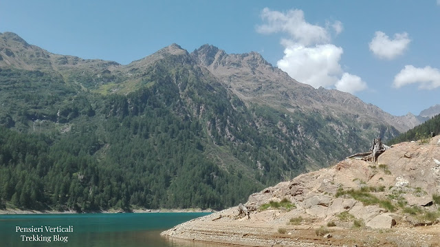 Scorcio dei monti intorno al Lago Pian Palù con un'isolotto in primo piano