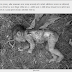 Illegal to kill a newborn child relationship, arrested
