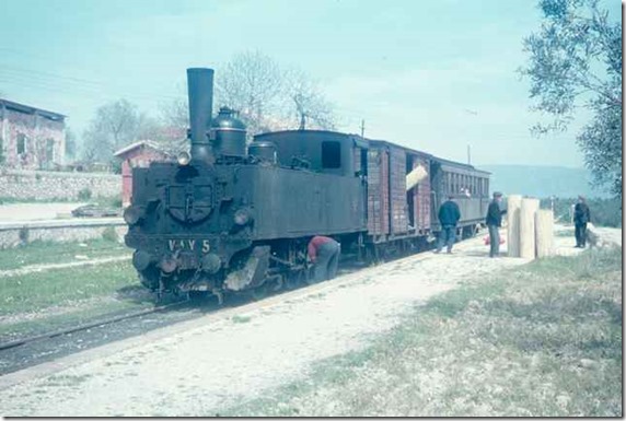 VAYcol (13)