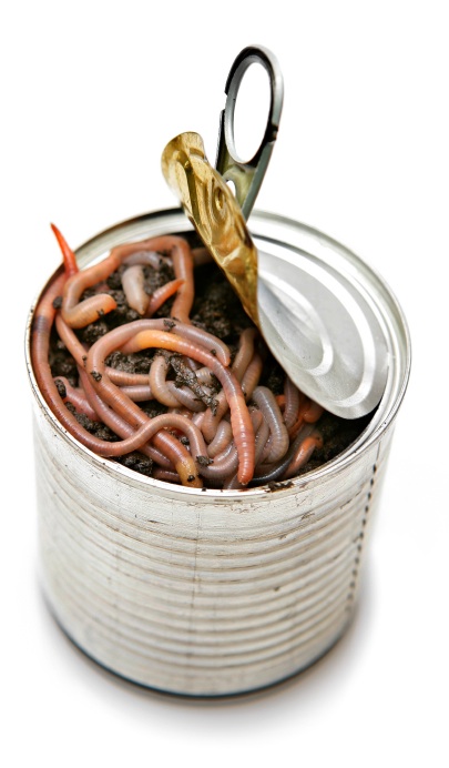 Can of Worms