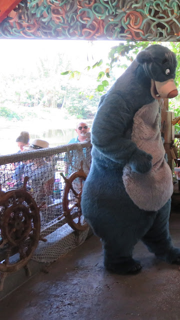 Baloo Character Disney's Animal Kingdom Disney World