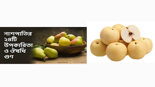 মানুষের জীবনের জন্য নাশপাতি ফল খাওয়ার উপকারিতা | Benefits of eating pear fruit for humans