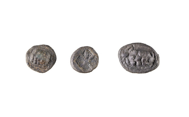 Εικ. 17: Τρία «ψευδοαιγινήτικα» νομίσματα της Κυδωνίας με απεικόνιση χελώνας.