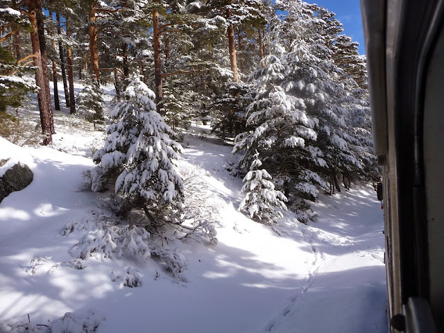 Tren de la Naturaleza. Excursiones Sierra de Madrid