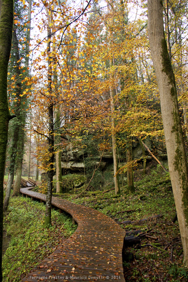 mullerthal trail Luxemburgo