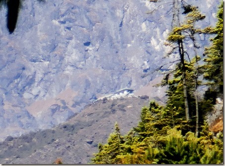 P1150141-100