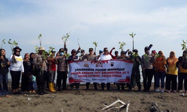 Cegah Abrasi dan Terjangan Banjir Rob, Polsek Cepiring Tanam 1.400 Pohon Mangrove