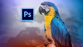 Adobe Photoshop CS6: Los Fundamentos