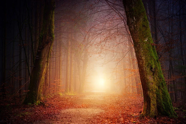 Image 5: Pollution, fog, smoke, and other phenomena can temporarily obstruct the sun.