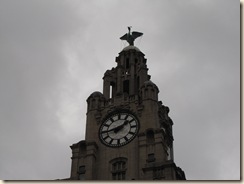 liverpool 031