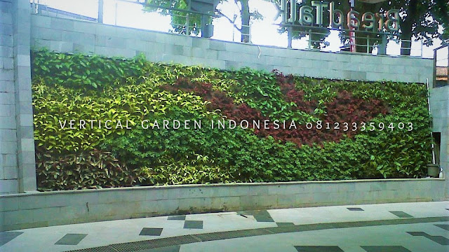 VERTICAL GARDEN INDONESIA SPESIALIS JASA PEMBUATAN VERTICAL GARDEN DI BLORA JAWA TENGAH DAN DI SELURUH WILAYAH JAWA TENGAH DENGAN TENAGA YANG PROFESIONAL DAN DAPAT DI PERCAYA YANG SELALU MENGUTAMAKAN SEBUAH MUTU DAN KUALITAS PEMASANGAN VERTICAL GARDEN/TAMAN DINDING, JASA TUKANG TAMAN VERTICAL BLORA JAWA TENGAH, JASA VERTICAL GARDEN BLORA JAWA TENGAH