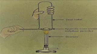 NCERT Solutions for Class10 Science Chapter 3 Metals and Non-Metals