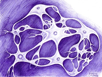 Reteaua neuronala