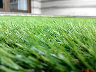 Rumput Sintetis golf untuk taman dan dekorasi rumput asli, berbeda dengan rumput sintetis futsal