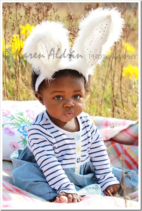 IMG_0371-001 copy 2