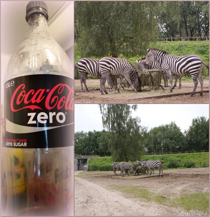 1-safaripark2