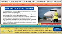 aviation company