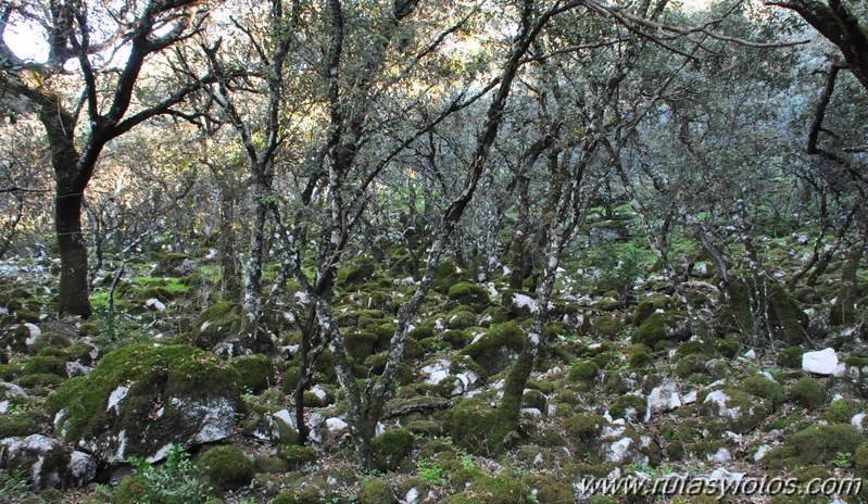 Subida al Peñón de Algámitas